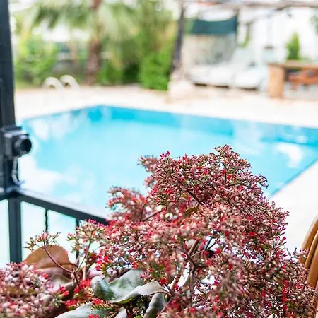 Spacious With Sea And Mountain View